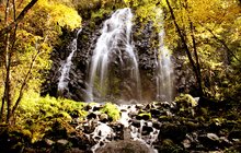 白山市 白山市
